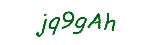 عبارت امنیتی