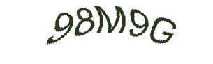 عبارت امنیتی