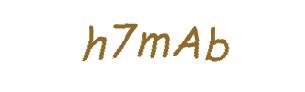 عبارت امنیتی