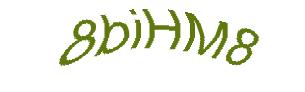 عبارت امنیتی