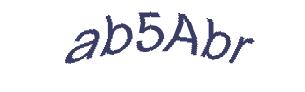 عبارت امنیتی