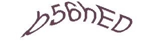 عبارت امنیتی