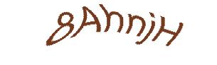 عبارت امنیتی