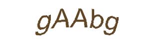 عبارت امنیتی