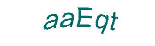 عبارت امنیتی