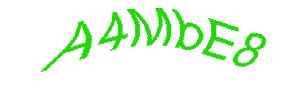 عبارت امنیتی