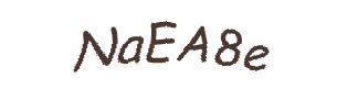 عبارت امنیتی
