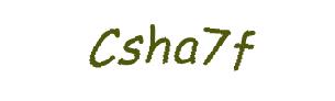 عبارت امنیتی