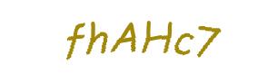 عبارت امنیتی
