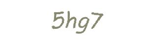 عبارت امنیتی