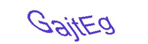 عبارت امنیتی
