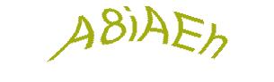 عبارت امنیتی