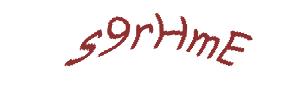 عبارت امنیتی