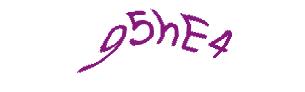 عبارت امنیتی