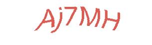 عبارت امنیتی