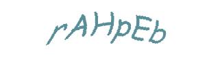 عبارت امنیتی