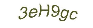 عبارت امنیتی