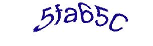 عبارت امنیتی