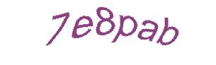 عبارت امنیتی