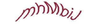 عبارت امنیتی