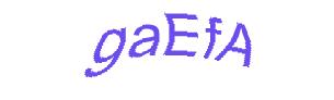 عبارت امنیتی