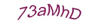عبارت امنیتی