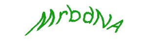 عبارت امنیتی