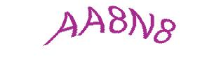 عبارت امنیتی