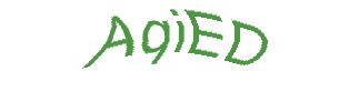 عبارت امنیتی