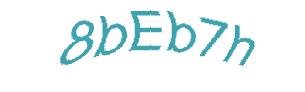 عبارت امنیتی