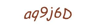 عبارت امنیتی