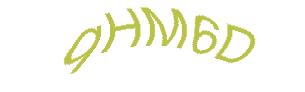 عبارت امنیتی