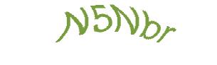عبارت امنیتی