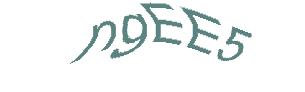 عبارت امنیتی