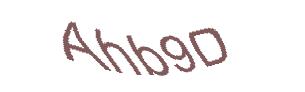 عبارت امنیتی