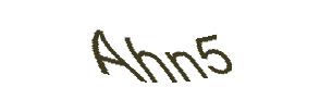عبارت امنیتی