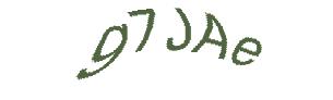 عبارت امنیتی