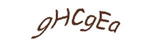 عبارت امنیتی