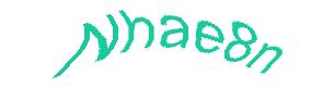 عبارت امنیتی