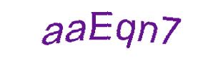 عبارت امنیتی