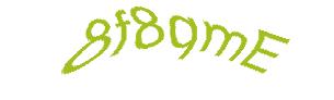 عبارت امنیتی