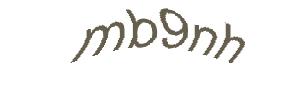 عبارت امنیتی