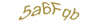 عبارت امنیتی