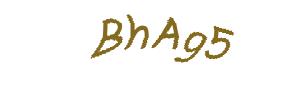 عبارت امنیتی