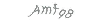 عبارت امنیتی