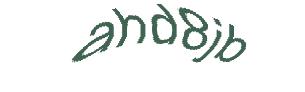 عبارت امنیتی