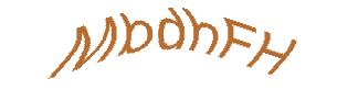 عبارت امنیتی