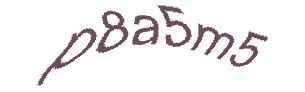عبارت امنیتی