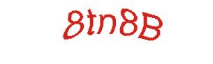 عبارت امنیتی
