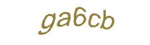 عبارت امنیتی